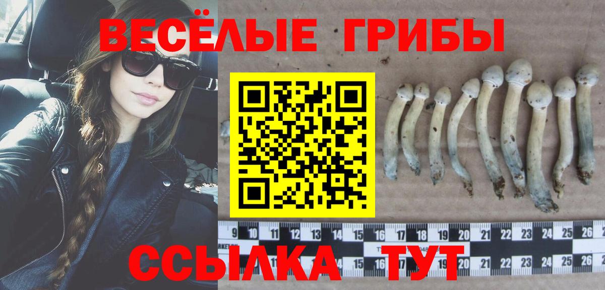 Гусев  Псилоцибиновые грибы мухоморы  Галлюциногенные грибы MAGIC MUSHROOMS  Вход с VPN 