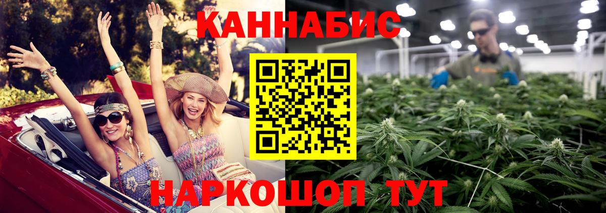 Шишки марихуана конопля  Бошки Шишки SATIVA & INDICA  Вход с VPN  Гусев  Конопля план 